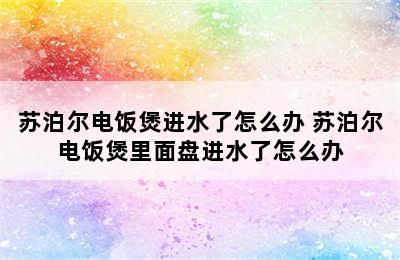 苏泊尔电饭煲进水了怎么办 苏泊尔电饭煲里面盘进水了怎么办